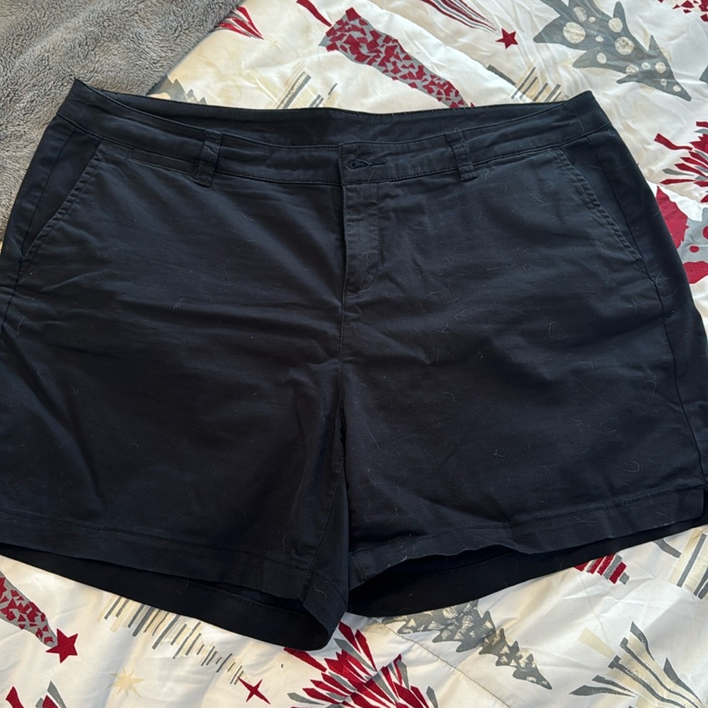 Lane Bryant Shorts